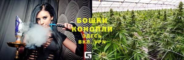 стафф Покачи