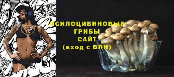 стафф Покачи
