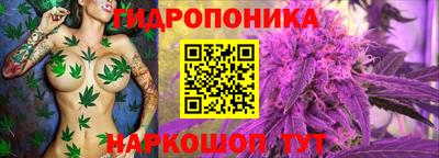 стаф Бийск
