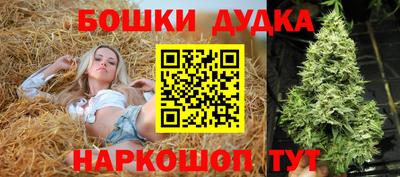 стаф Бийск