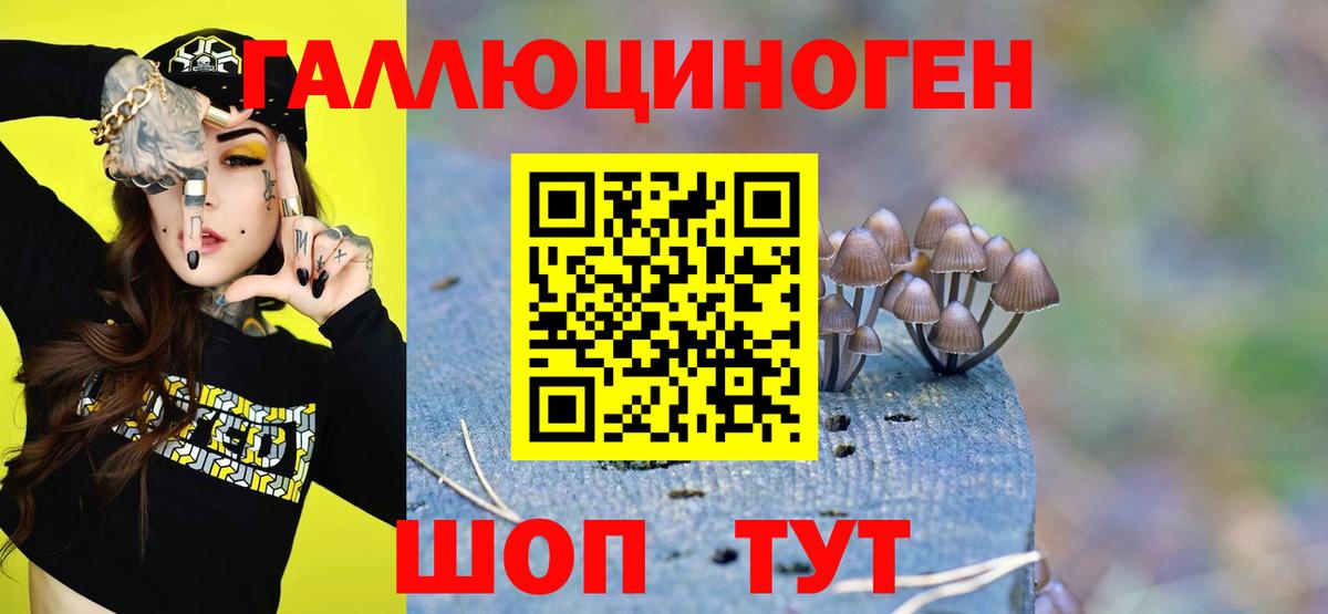Великие Луки  Псилоцибиновые грибы мицелий  Вход с VPN 