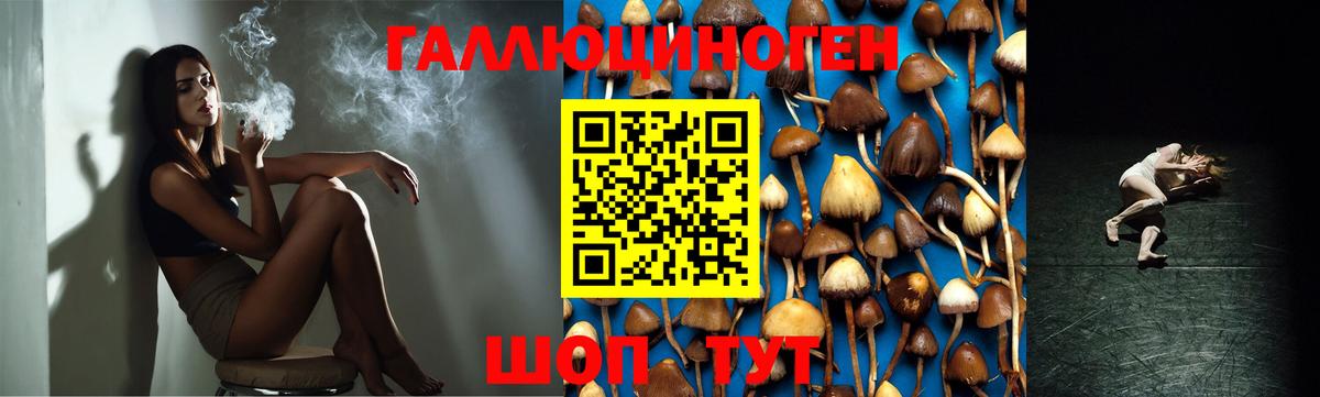 Галлюциногенные грибы мицелий Великие Луки