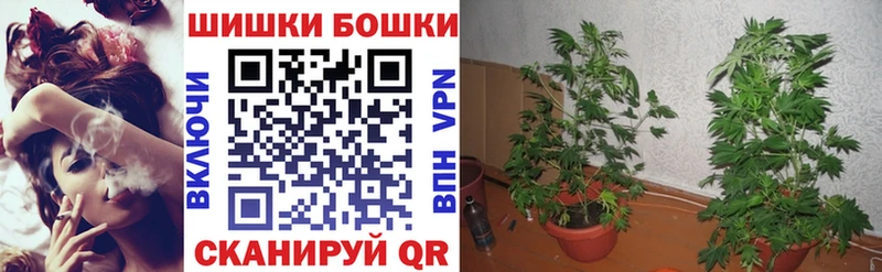 Каннабис план  что такое наркотик  Великие Луки 
